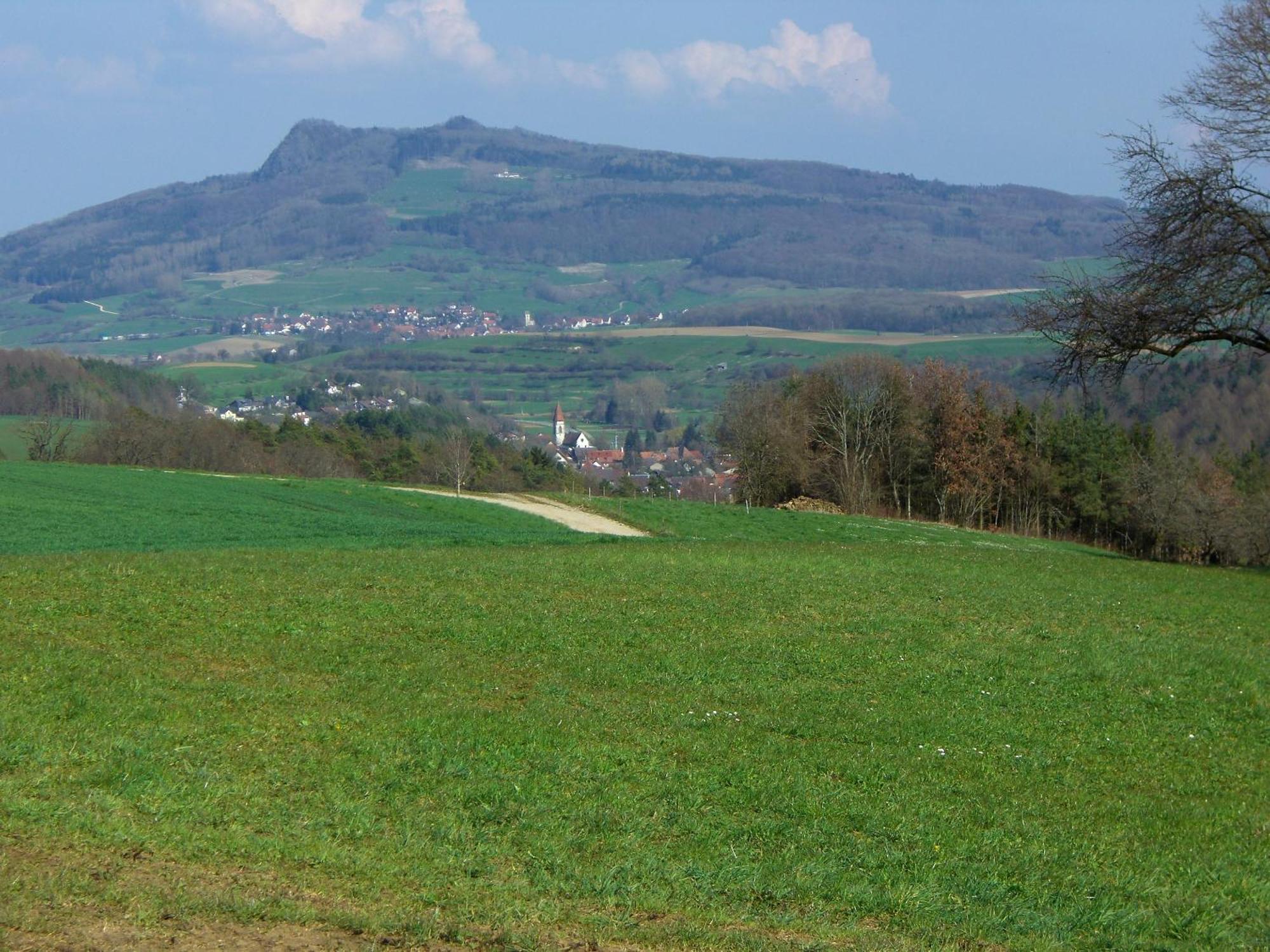 Hegauliebe Tengen Exterior foto